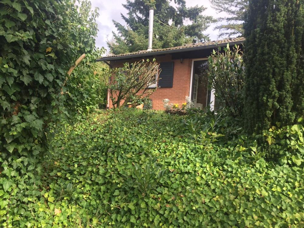 Ferienhaus Braunfels Villa Exteriör bild